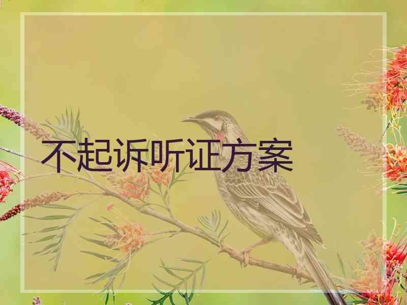 不起诉听证方案