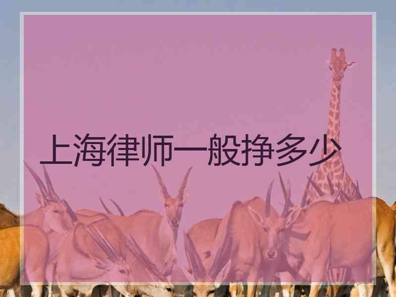 上海律师一般挣多少