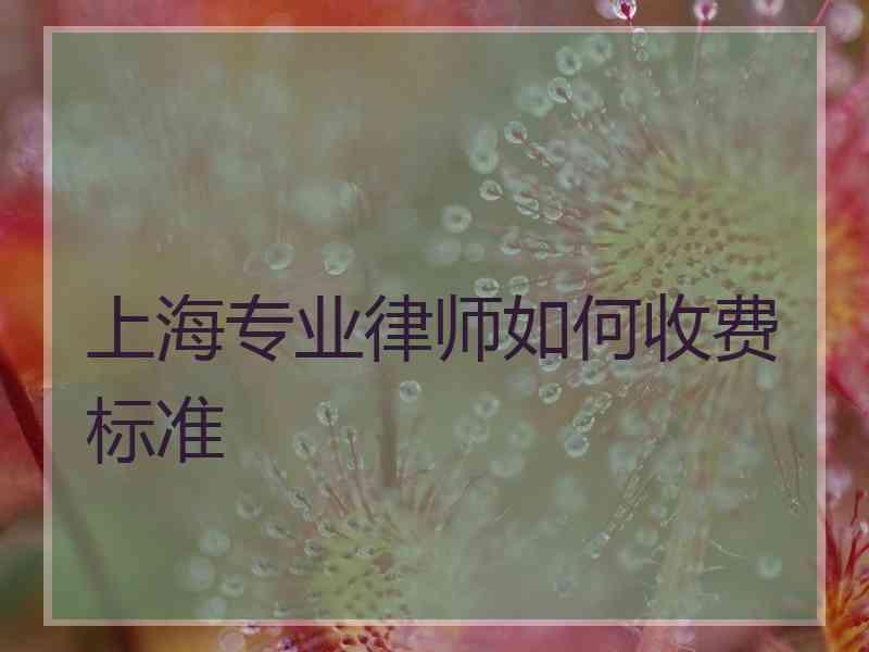 上海专业律师如何收费标准