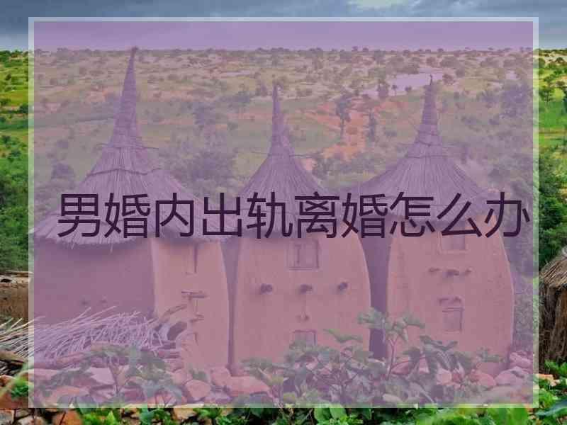 男婚内出轨离婚怎么办