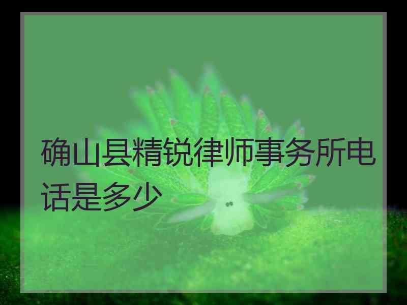 确山县精锐律师事务所电话是多少