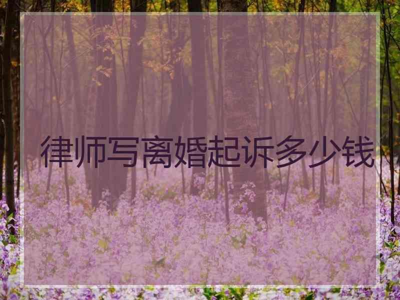 律师写离婚起诉多少钱