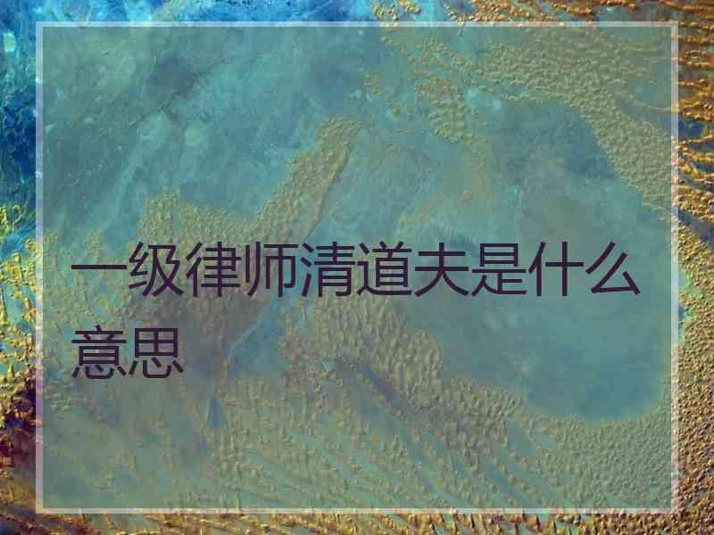 一级律师清道夫是什么意思