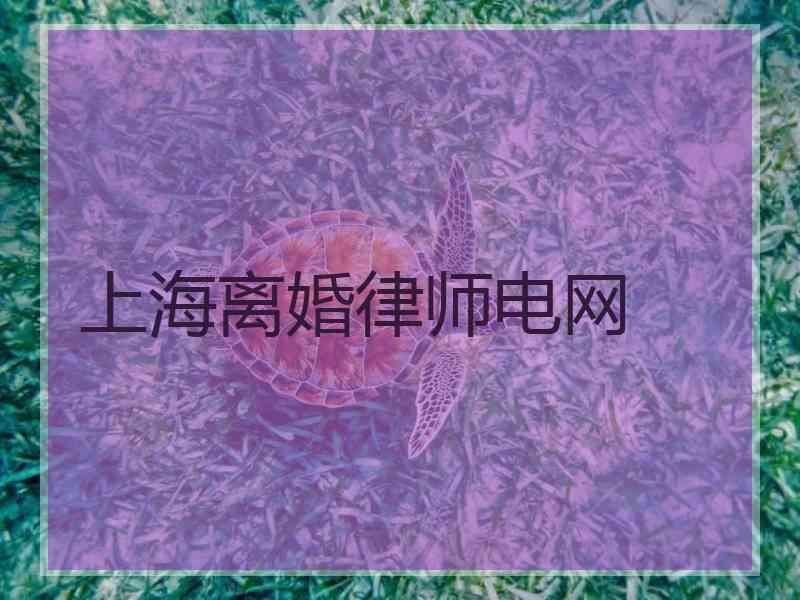 上海离婚律师电网