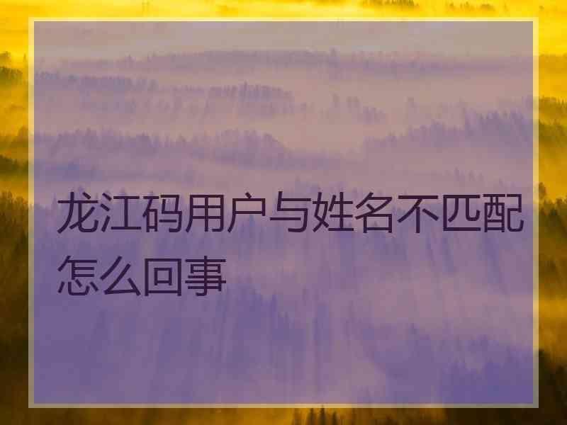 龙江码用户与姓名不匹配怎么回事