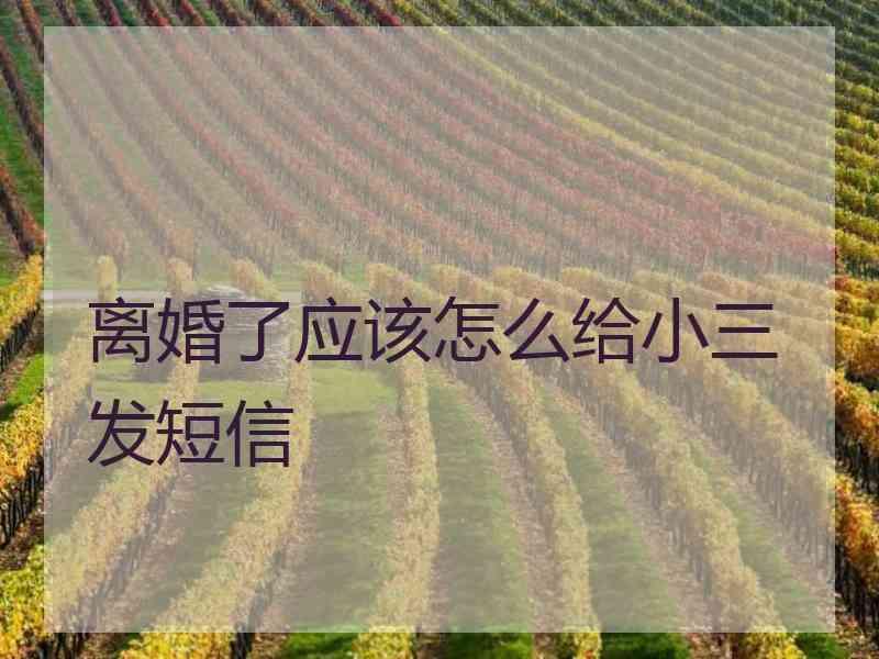 离婚了应该怎么给小三发短信