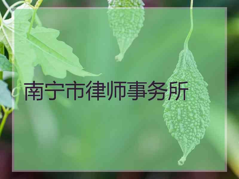 南宁市律师事务所