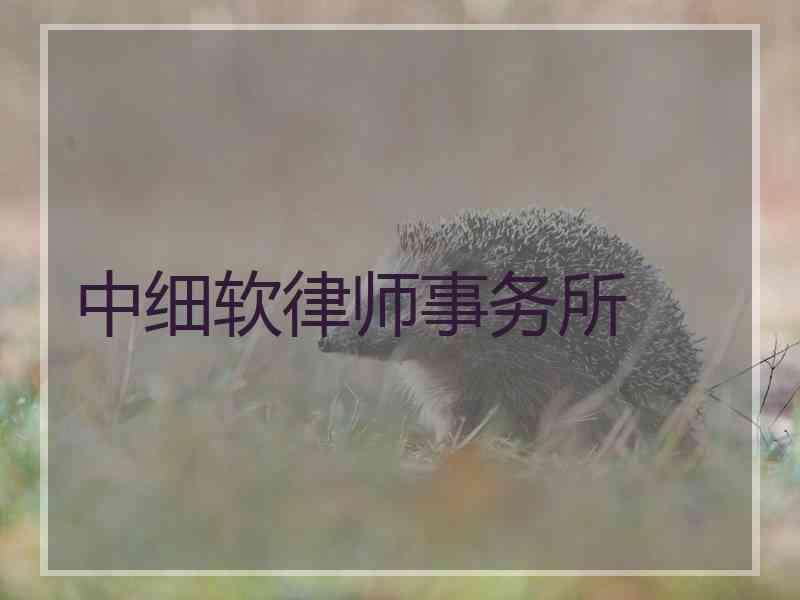 中细软律师事务所