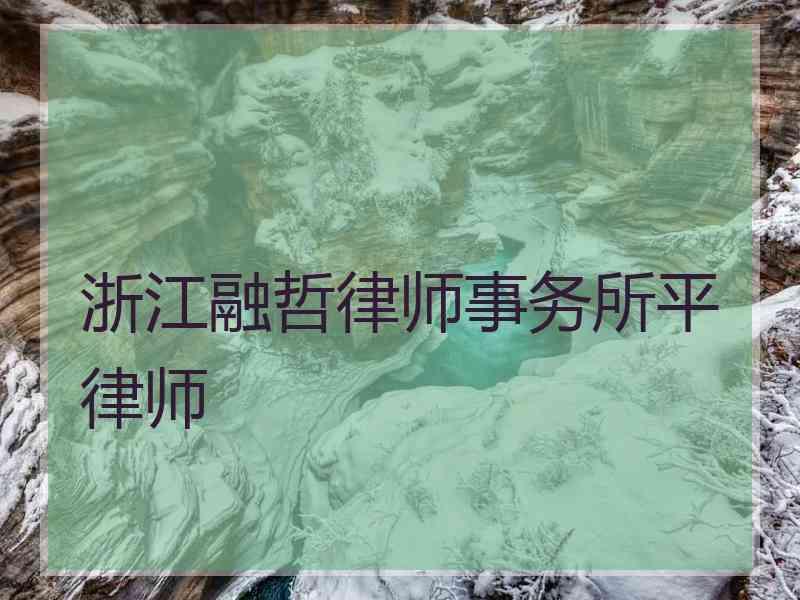 浙江融哲律师事务所平律师