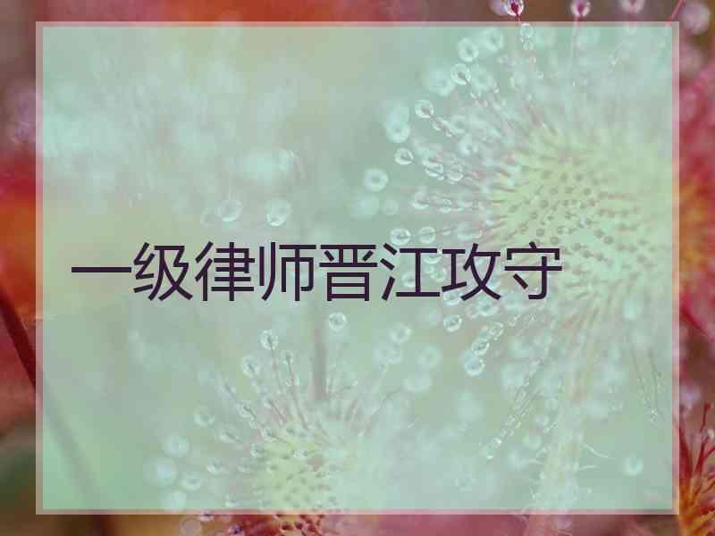 一级律师晋江攻守