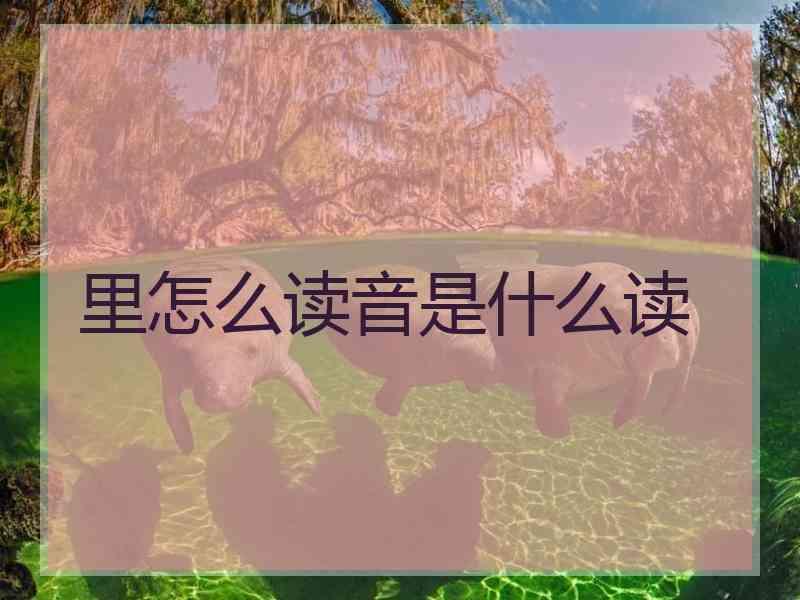 里怎么读音是什么读