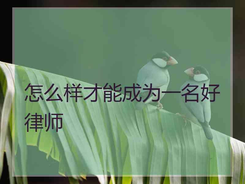 怎么样才能成为一名好律师