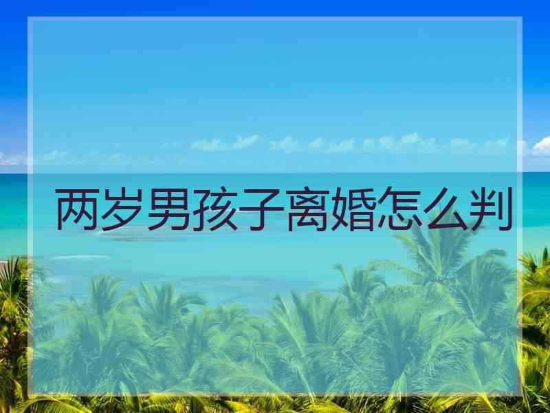 两岁男孩子离婚怎么判