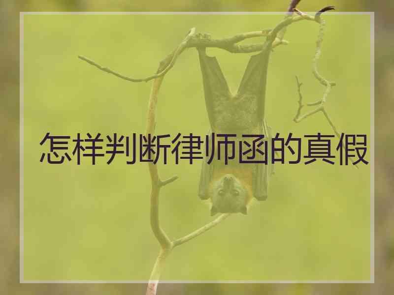 怎样判断律师函的真假