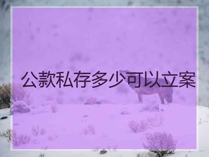 公款私存多少可以立案
