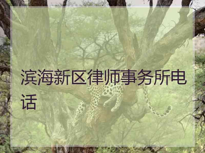 滨海新区律师事务所电话