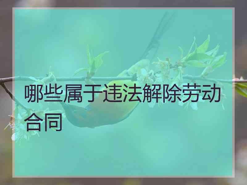 哪些属于违法解除劳动合同