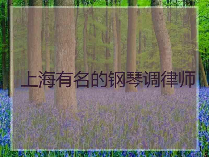 上海有名的钢琴调律师