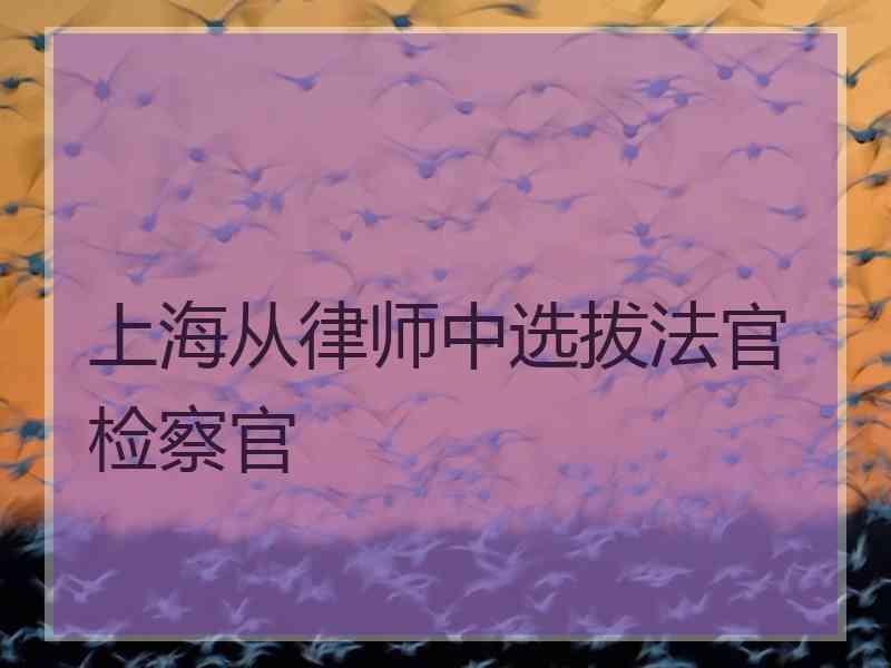 上海从律师中选拔法官检察官