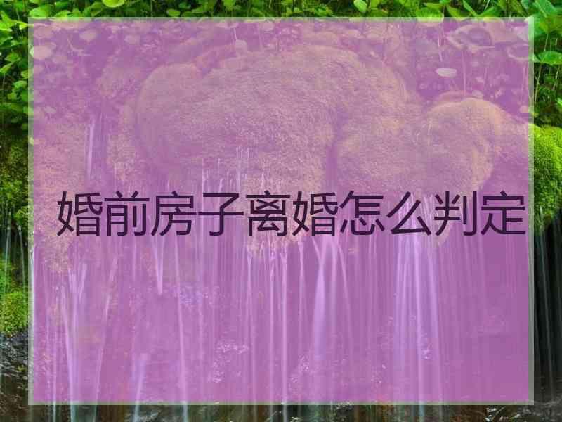 婚前房子离婚怎么判定