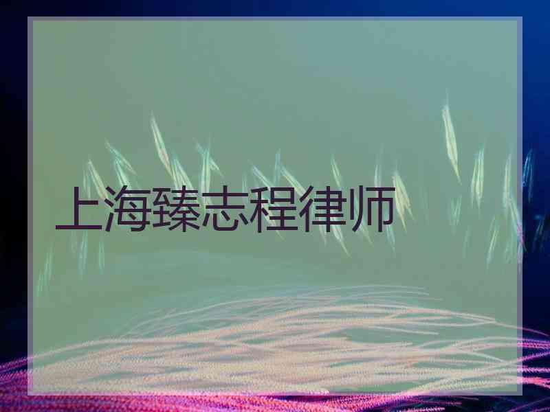 上海臻志程律师曾德程律师