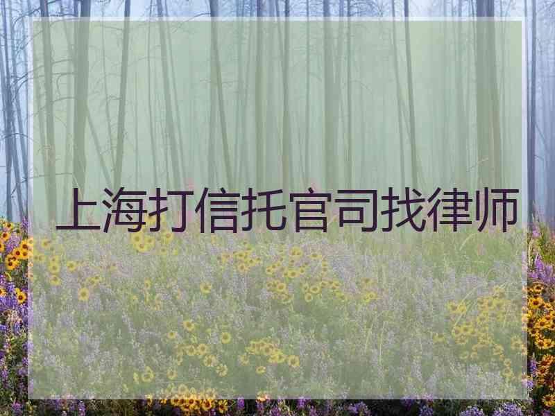 上海打信托官司找律师