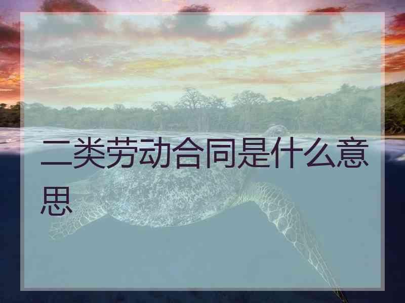 二类劳动合同是什么意思