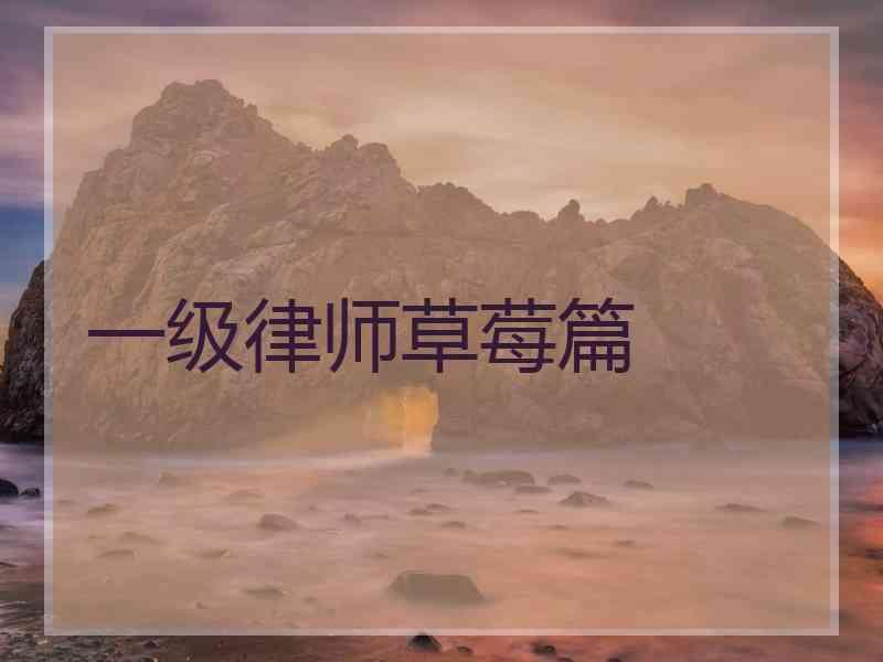 一级律师草莓篇