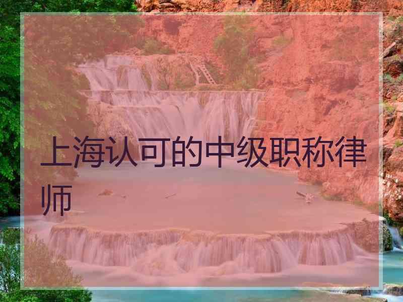 上海认可的中级职称律师