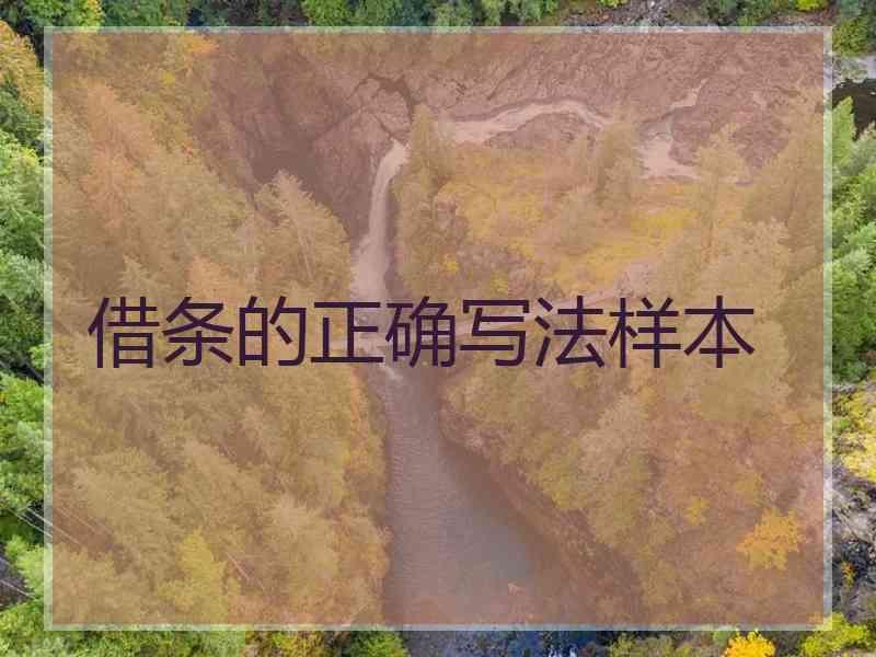 借条的正确写法样本