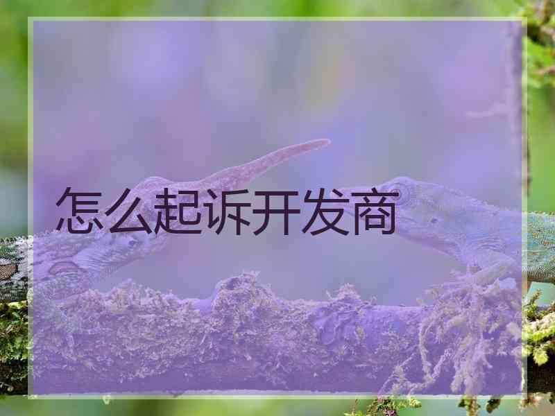 怎么起诉开发商