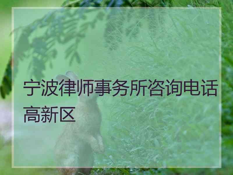 宁波律师事务所咨询电话高新区