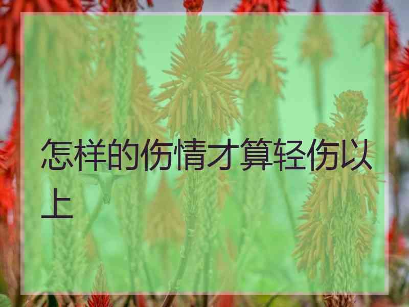 怎样的伤情才算轻伤以上