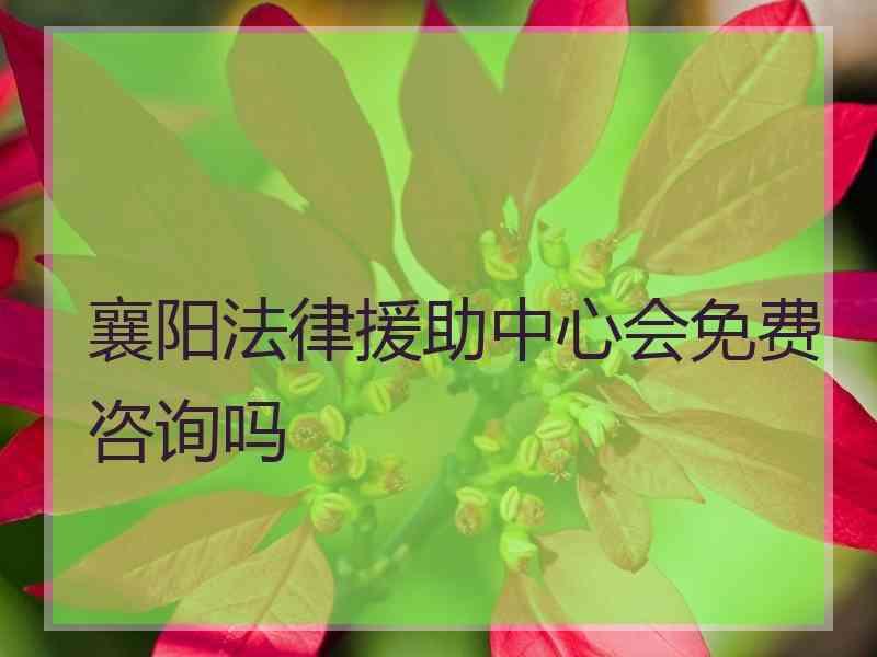 襄阳法律援助中心会免费咨询吗