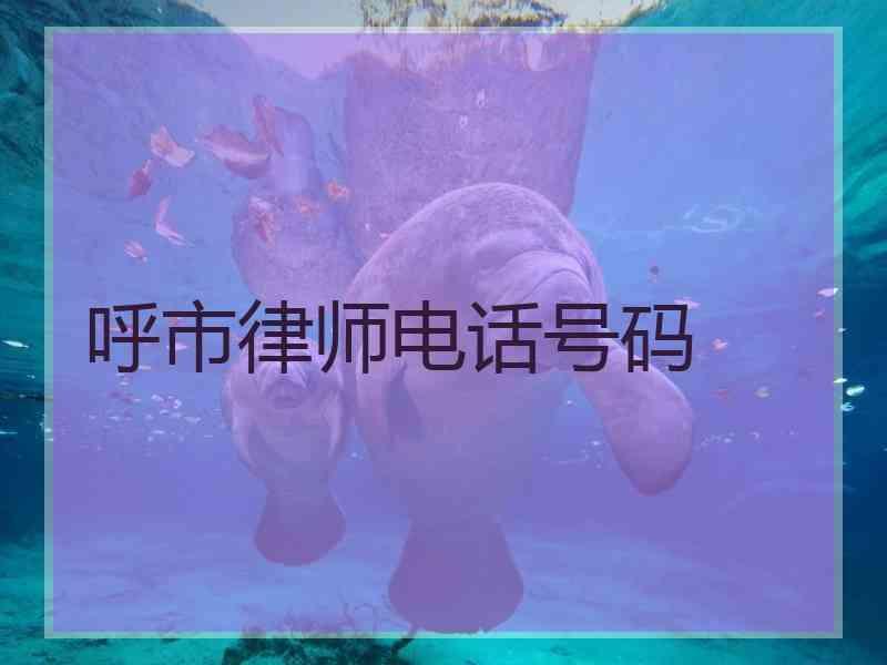 呼市律师电话号码