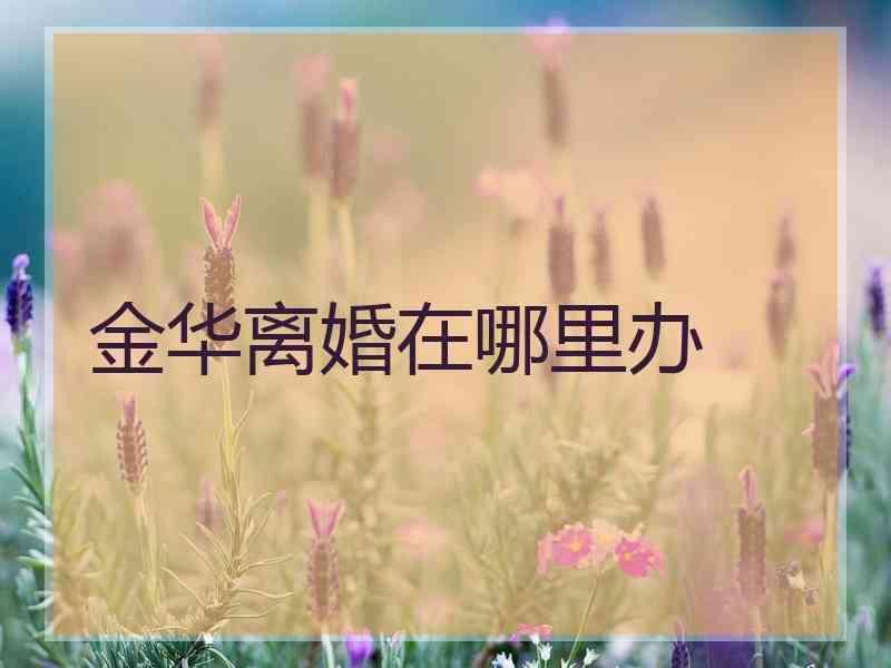 金华离婚在哪里办