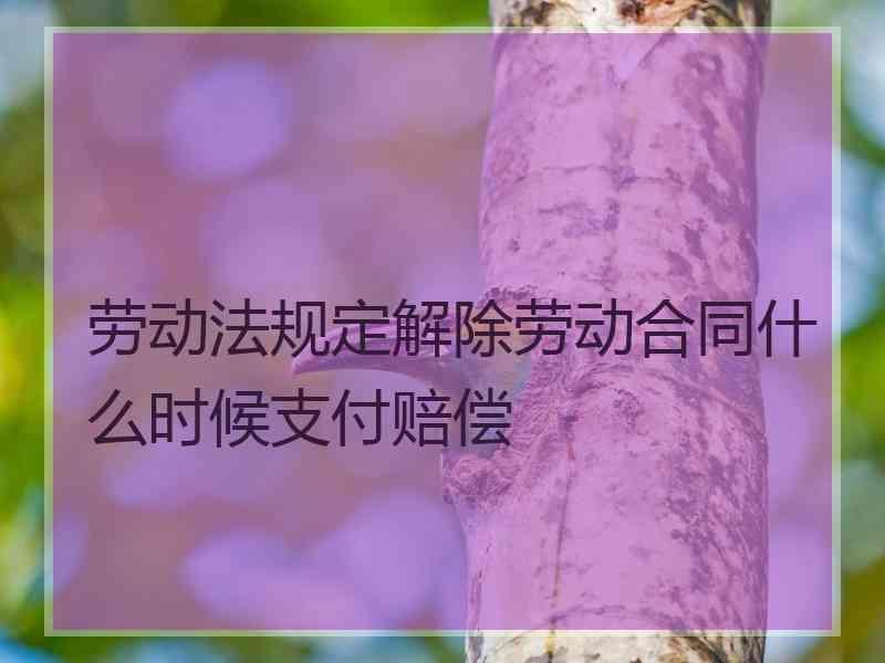 劳动法规定解除劳动合同什么时候支付赔偿