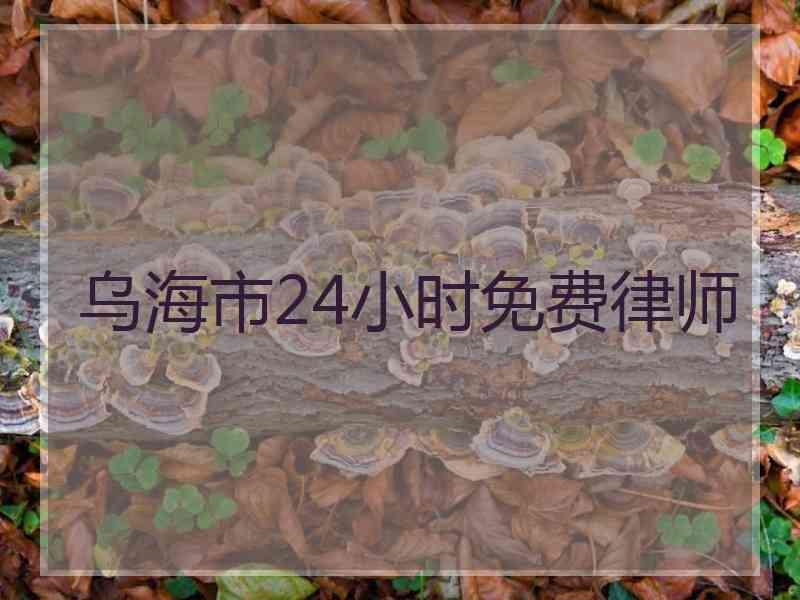 乌海市24小时免费律师