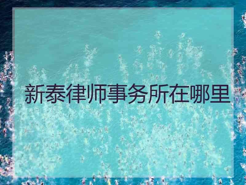 新泰律师事务所在哪里