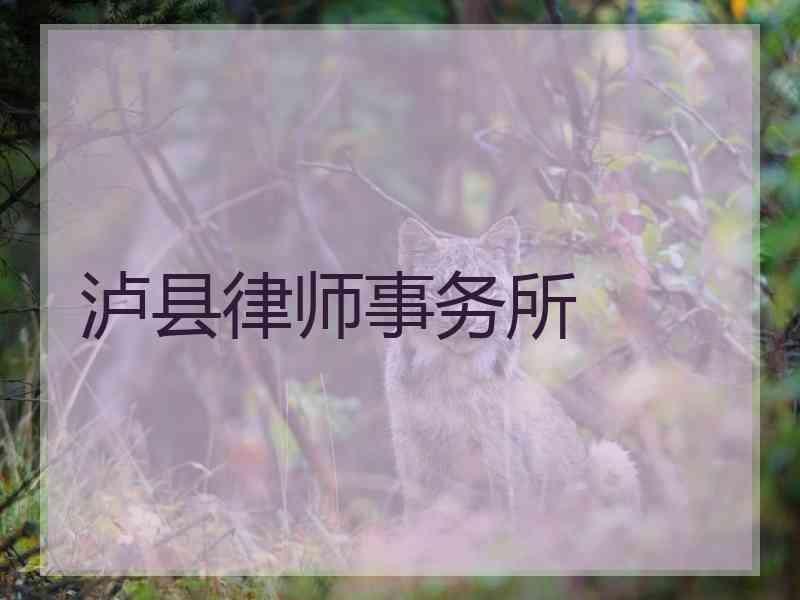 泸县律师事务所