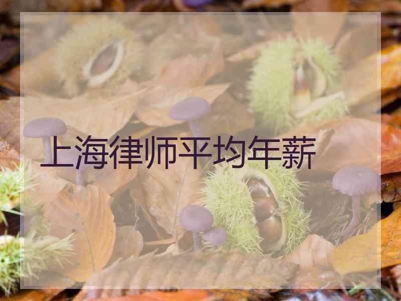 上海律师平均年薪