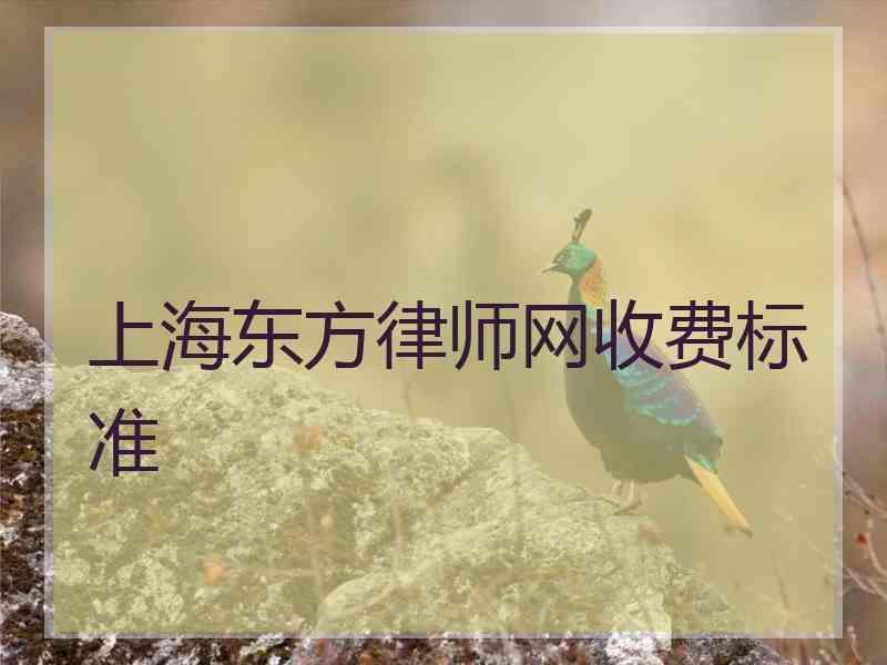 上海东方律师网收费标准