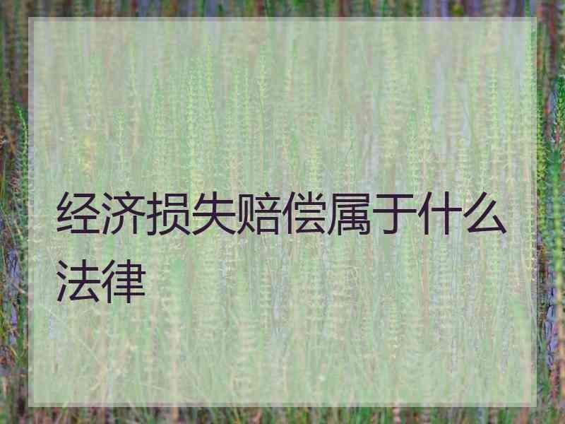 经济损失赔偿属于什么法律