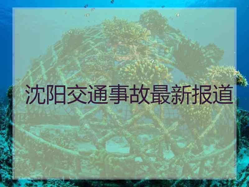 沈阳交通事故最新报道2019岷县交通事故最新报道