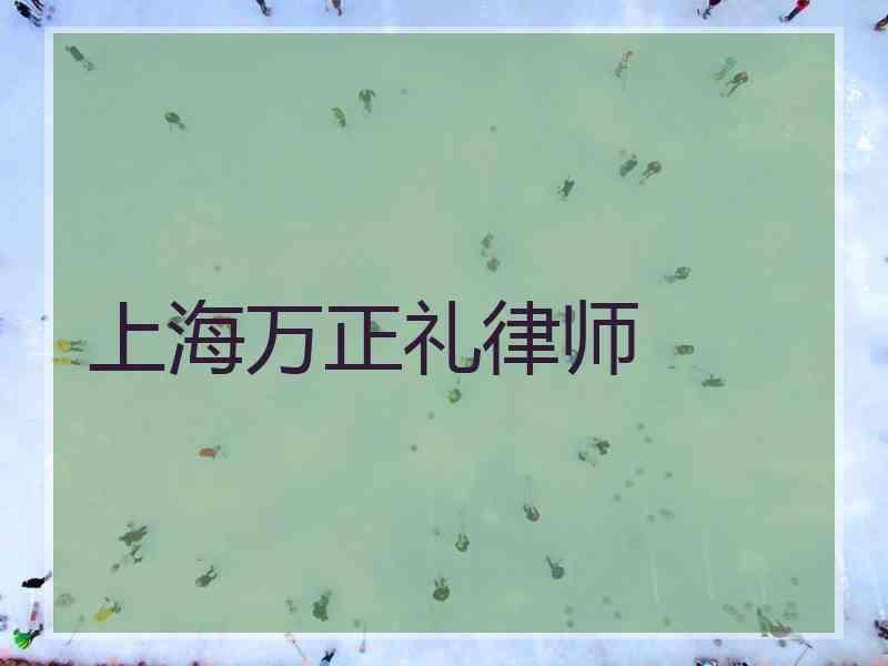 上海万正礼律师