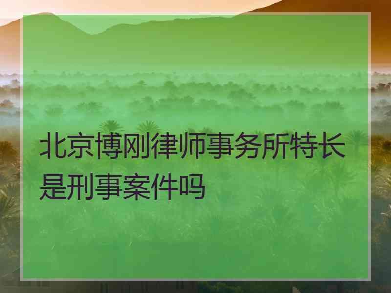 北京博刚律师事务所特长是刑事案件吗