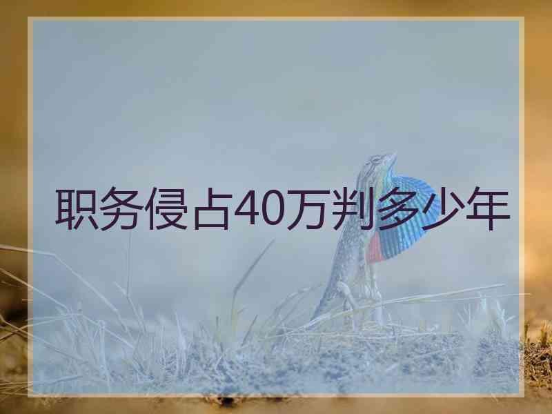 职务侵占40万判多少年