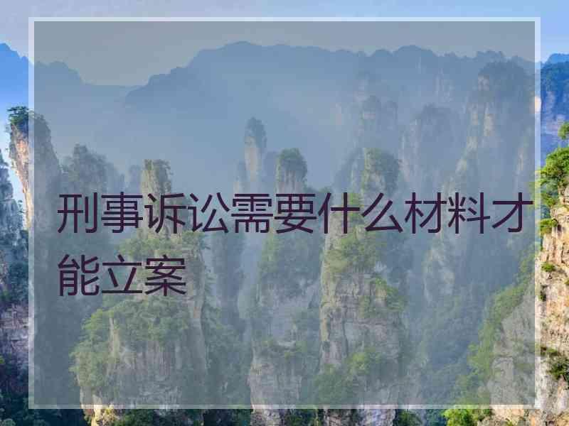 刑事诉讼需要什么材料才能立案