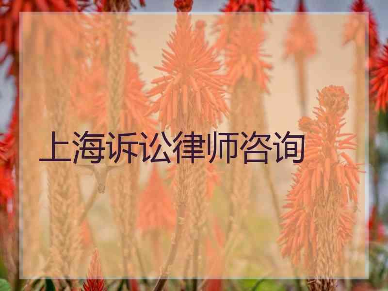 上海诉讼律师咨询