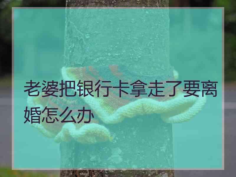 老婆把银行卡拿走了要离婚怎么办